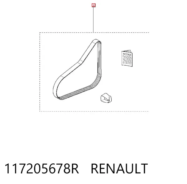 Correa de alternador 117205678R Renault (RVI)