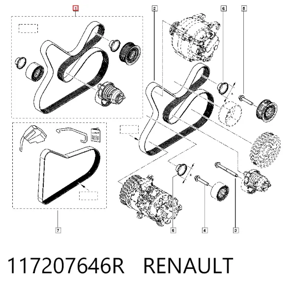 Correa de transmisión 117207646R Renault (RVI)