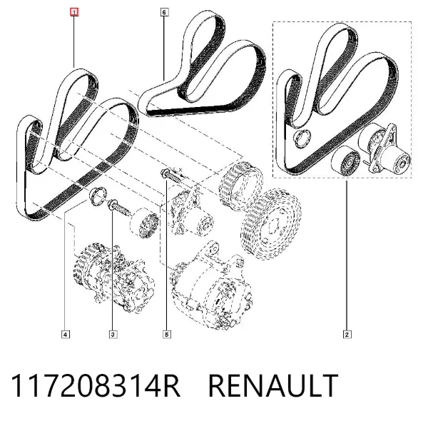 Correa de alternador 117208314R Renault (RVI)
