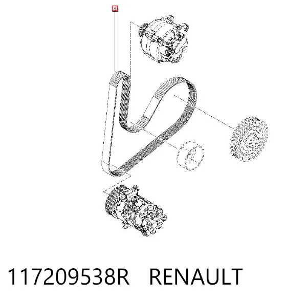Correa de alternador 117209538R Renault (RVI)