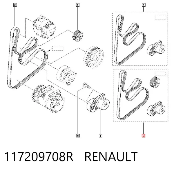 Correa de transmisión 117209708R Renault (RVI)