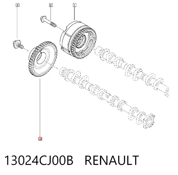 Piñón del árbol de levas 13024CJ00B Renault (RVI)
