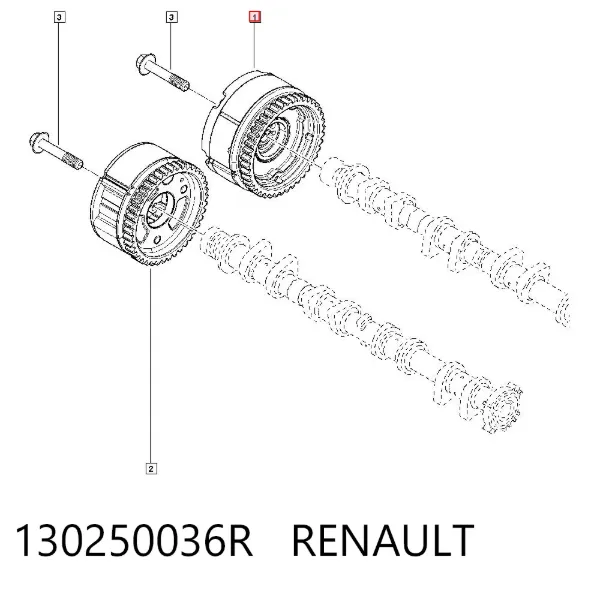 Kit de cadena de distribución 130250036R Renault (RVI)
