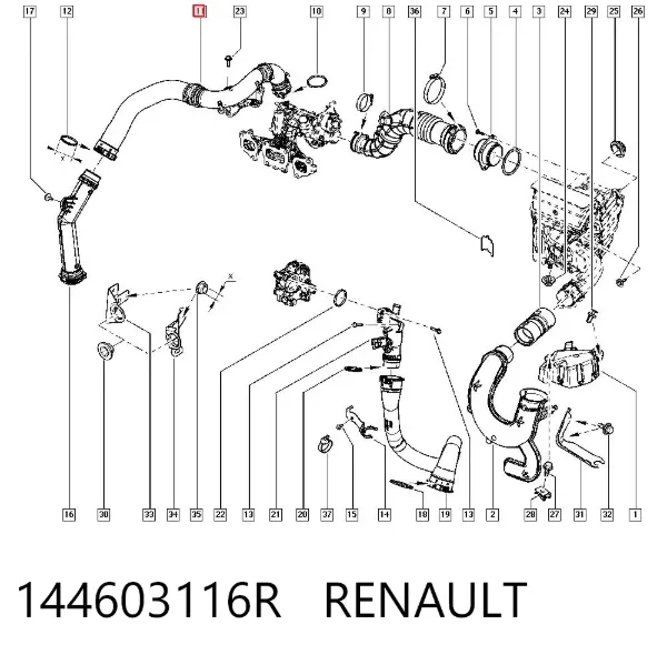 Tubo intercooler 144603116R Renault (RVI)