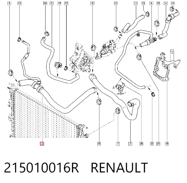 Manguera superior del radiador 215010016R Renault (RVI)