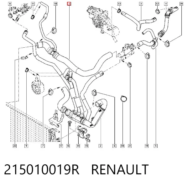 Manguera inferior del radiador 215010019R Renault (RVI)