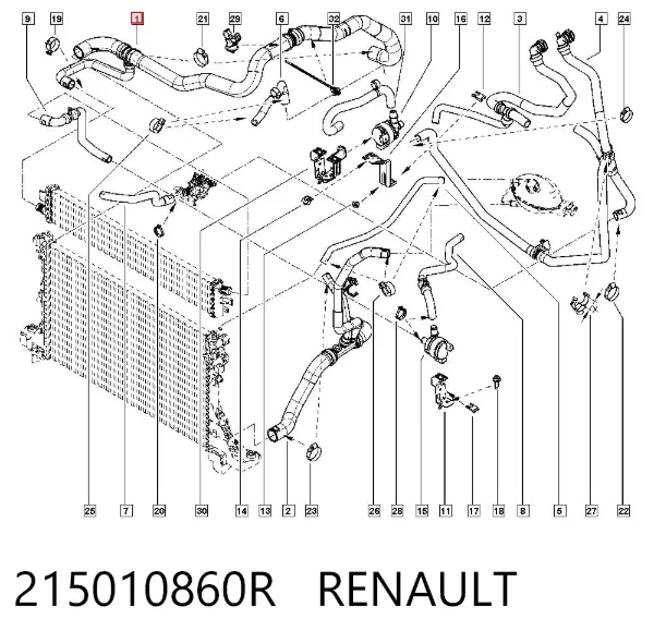 Manguera superior del radiador 215010860R Renault (RVI)