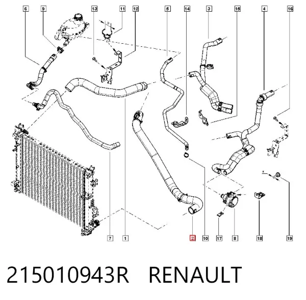 Manguera inferior del radiador 215010943R Renault (RVI)