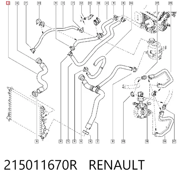Manguera superior del radiador 215011670R Renault (RVI)