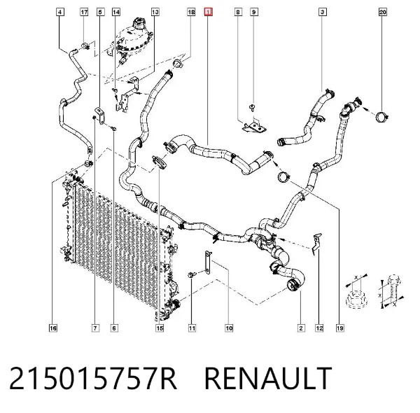 Manguera superior del radiador 215015757R Renault (RVI)