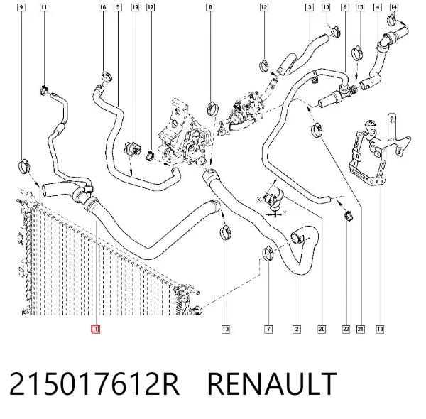 Manguera superior del radiador 215017612R Renault (RVI)