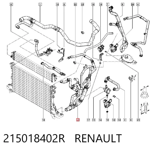 Manguera inferior del radiador 215018402R Renault (RVI)
