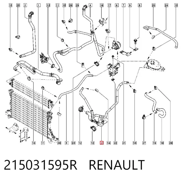 Manguera inferior del radiador 215031595R Renault (RVI)