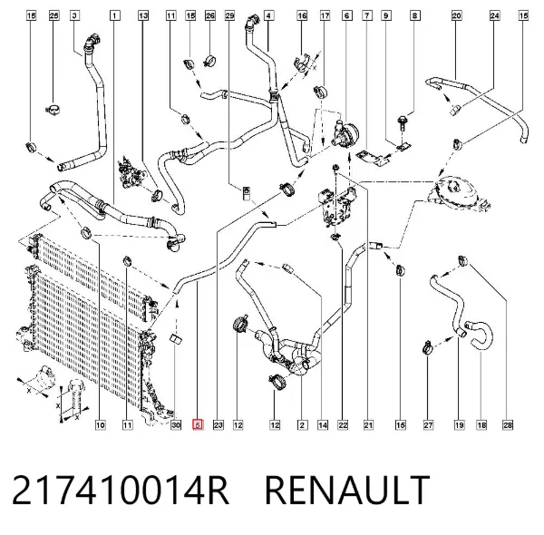 Manguera radiador 217410014R Renault (RVI)