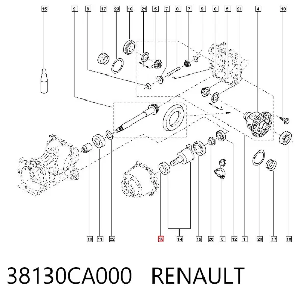 Cojinete del diferencial del eje trasero 38130CA000 Renault (RVI)