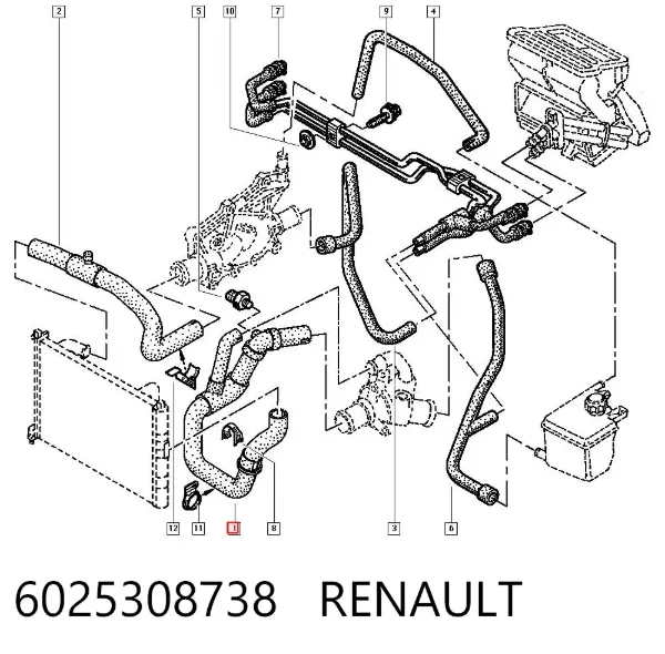 Manguera inferior del radiador 6025308738 Renault (RVI)