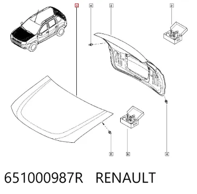 Capó RENAULT 651000987R