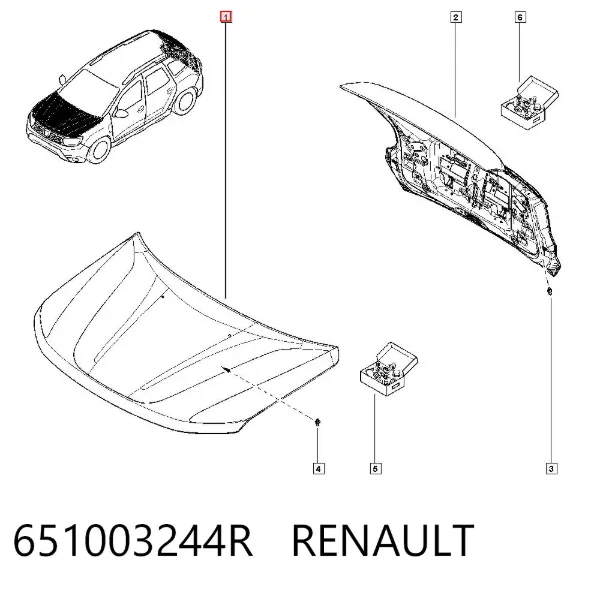 Capó 651003244R Renault (RVI)
