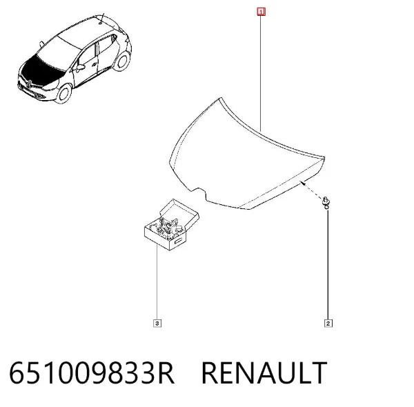 Capó 651009833R Renault (RVI)