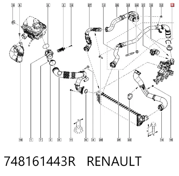 Abrazadera de tubo del intercooler 748161443R Renault (RVI)