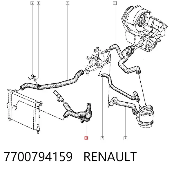 Manguera inferior del radiador 7700794159 Renault (RVI)