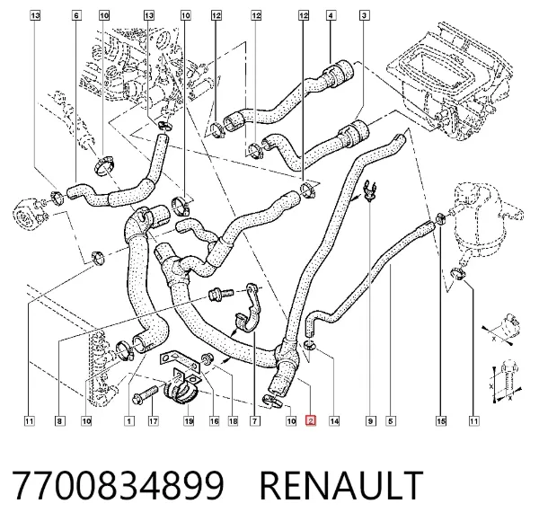 Manguera radiador 7700834899 Renault (RVI)