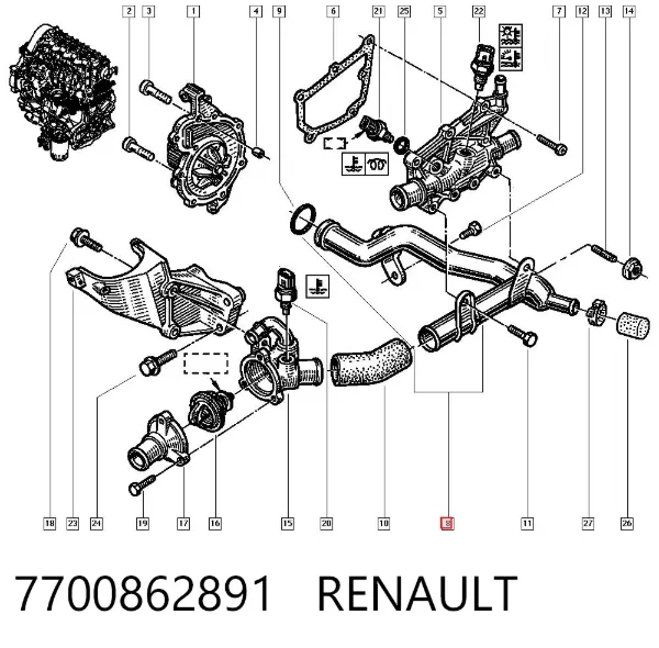 Manguera radiador 7700862891 Renault (RVI)