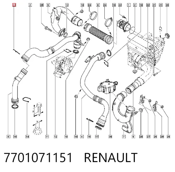 Abrazadera de tubo del intercooler 7701071151 Renault (RVI)