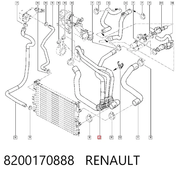 Manguera inferior del radiador 8200170888 Renault (RVI)