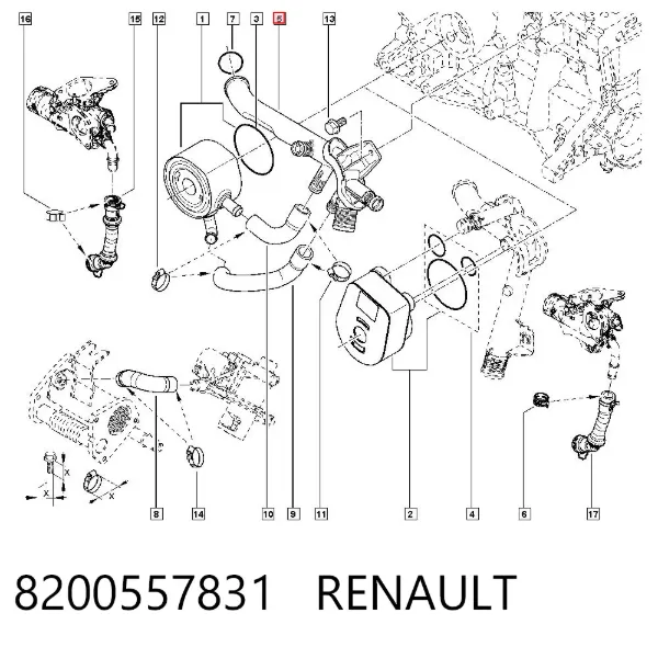 Manguera radiador 8200557831 Renault (RVI)
