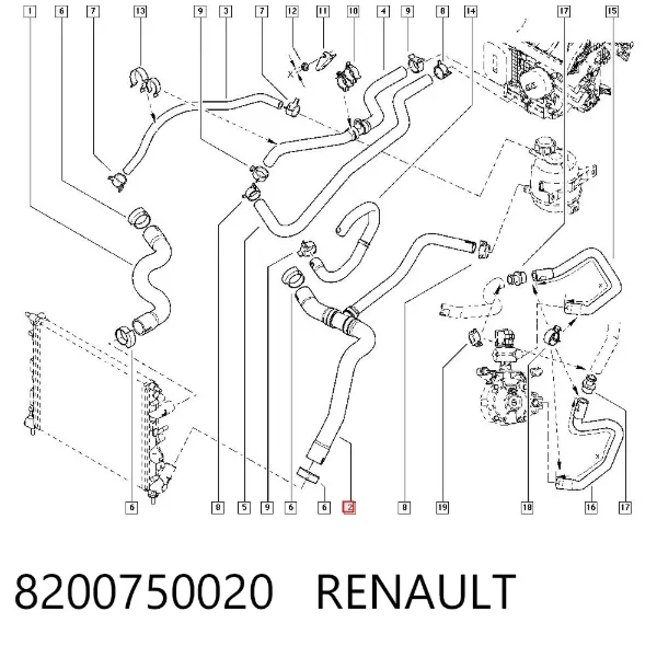 Manguera inferior del radiador 8200750020 Renault (RVI)