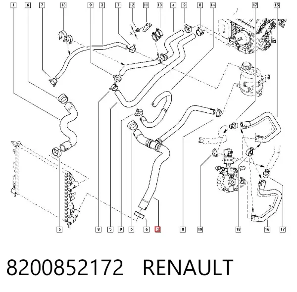 Manguera inferior del radiador 8200852172 Renault (RVI)