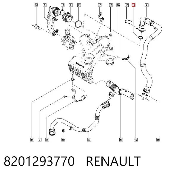 Junta tórica del tubo del intercooler 8201293770 Renault (RVI)