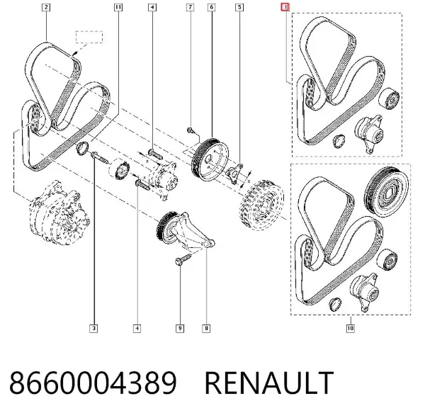 Correa de transmisión 8660004389 Renault (RVI)