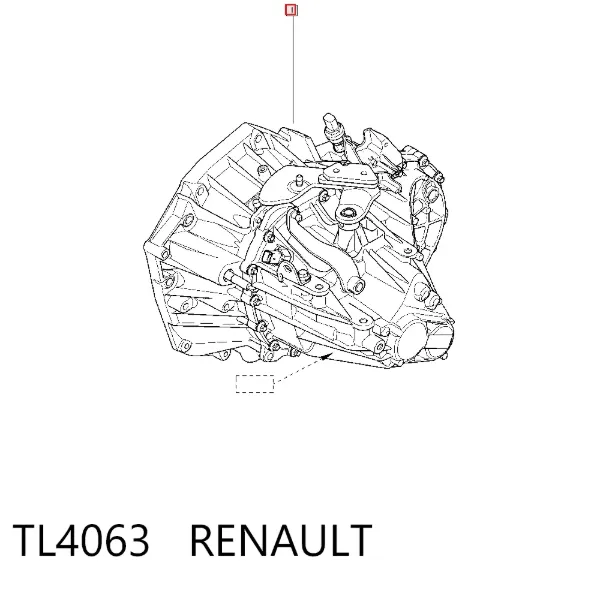 Caja de cambios TL4063 Renault (RVI)
