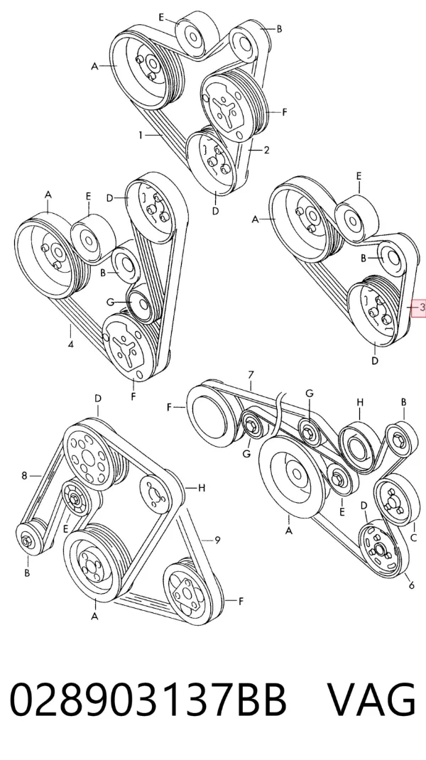 Correa de alternador 028903137BB VAG