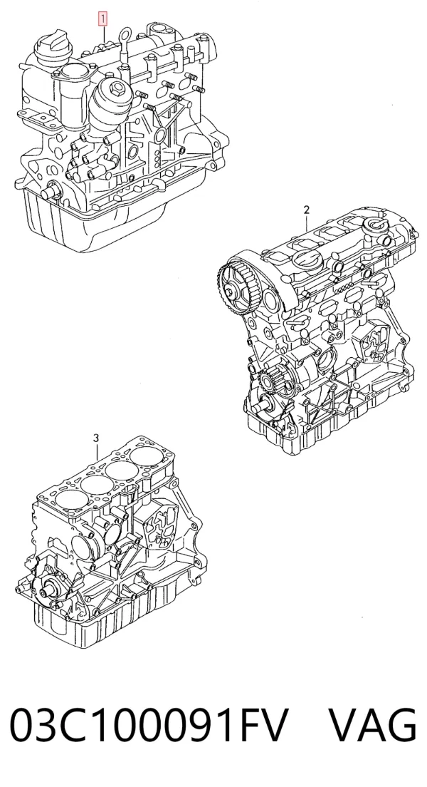 Motor completo 03C100091FV VAG