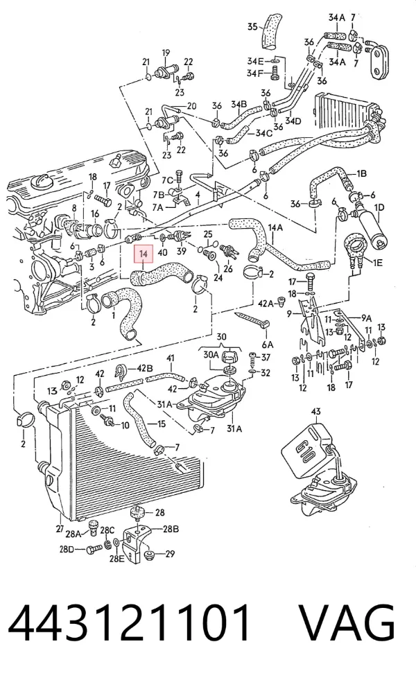 Manguera superior del radiador 443121101 VAG