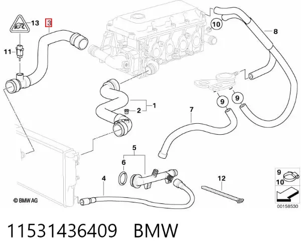 Manguera inferior del radiador 11531436409 BMW