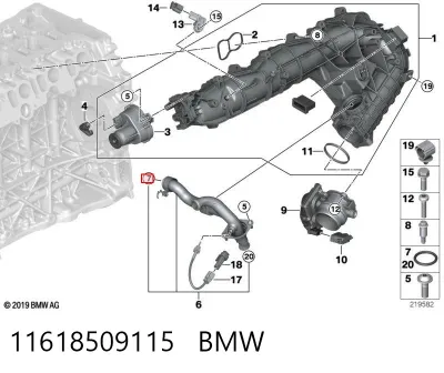 Junta de tapa del tubo de llenado de aceite BMW 11618509115