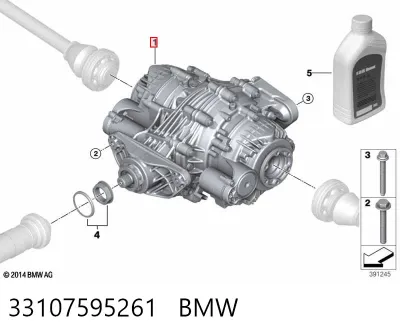 Grupo trasero BMW 33107595261