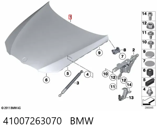 Capó 41007263070 BMW