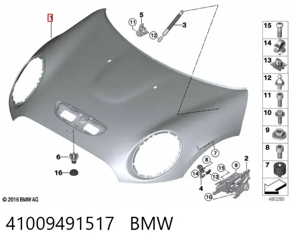 Capó 41009491517 BMW