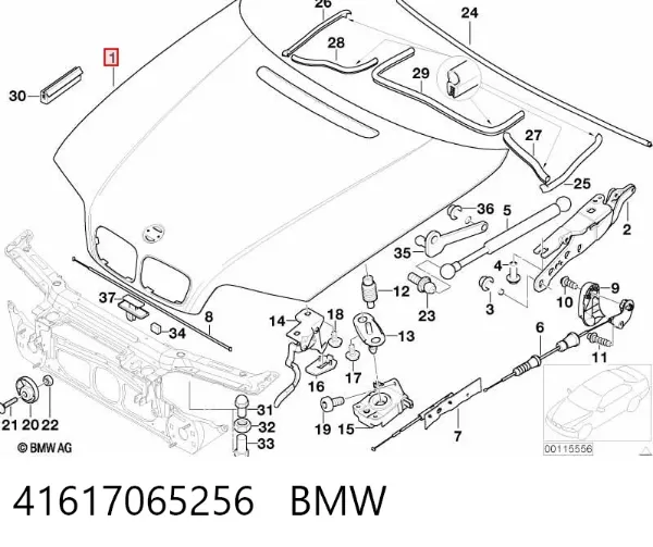 Capó 41617065256 BMW