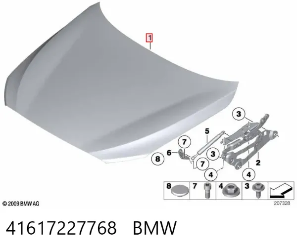 Capó 41617227768 BMW