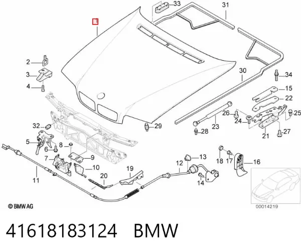 Capó 41618183124 BMW