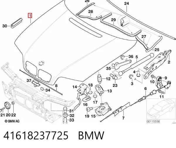 Capó 41618237725 BMW