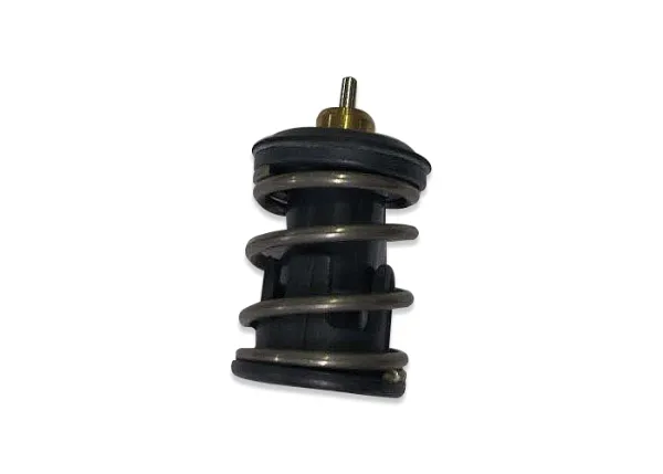 Termostato 04E121113F VAG