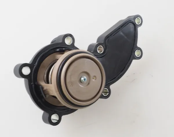 Termostato 06E121111AC VAG