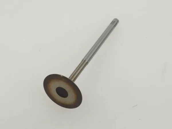  06M109601G VAG